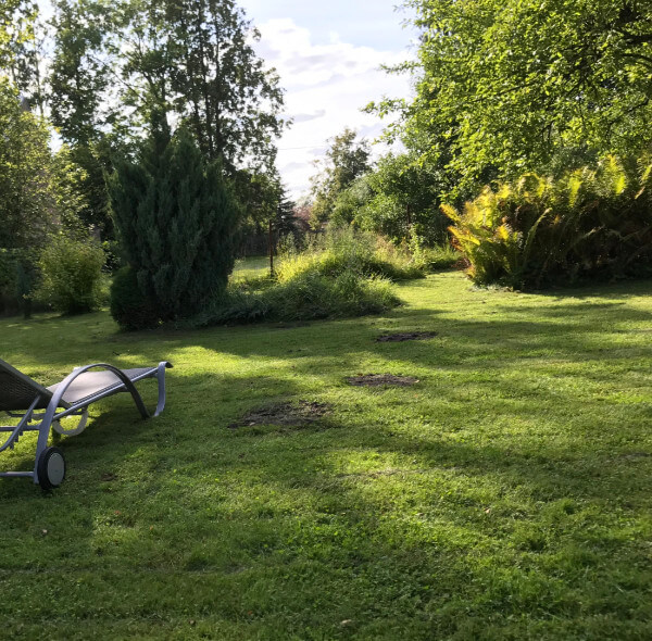 Asaru dārza teritorija, Induļu iela 6